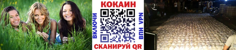 Магазины продажи наркотиков Тосно Каннабис  Меф  Кокаин  Галлюциногенные грибы  ГАШИШ 