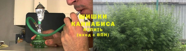 бутират Богородицк