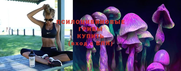 мяу мяу кристалл Богданович