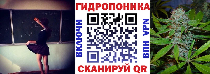блэк спрут ТОР  Тосно  Бошки марихуана индика 
